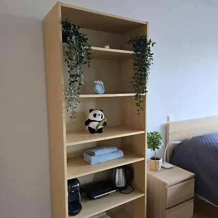 Ferienwohnung Koeln-2
