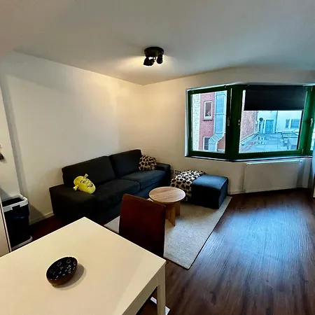 Modernes Appartement In Der Innenstadt-3
